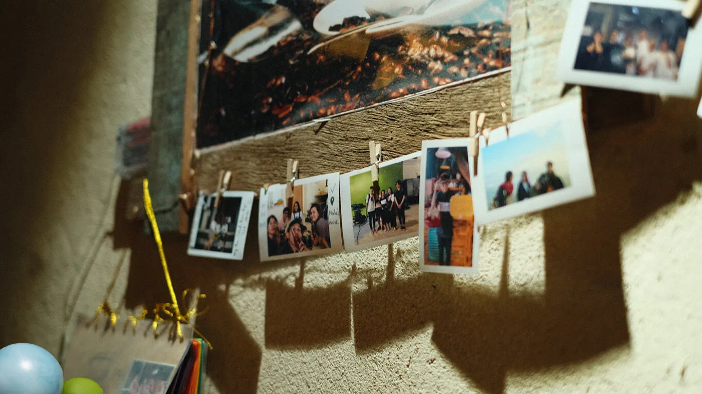 image shows camera snapshots documenting a life