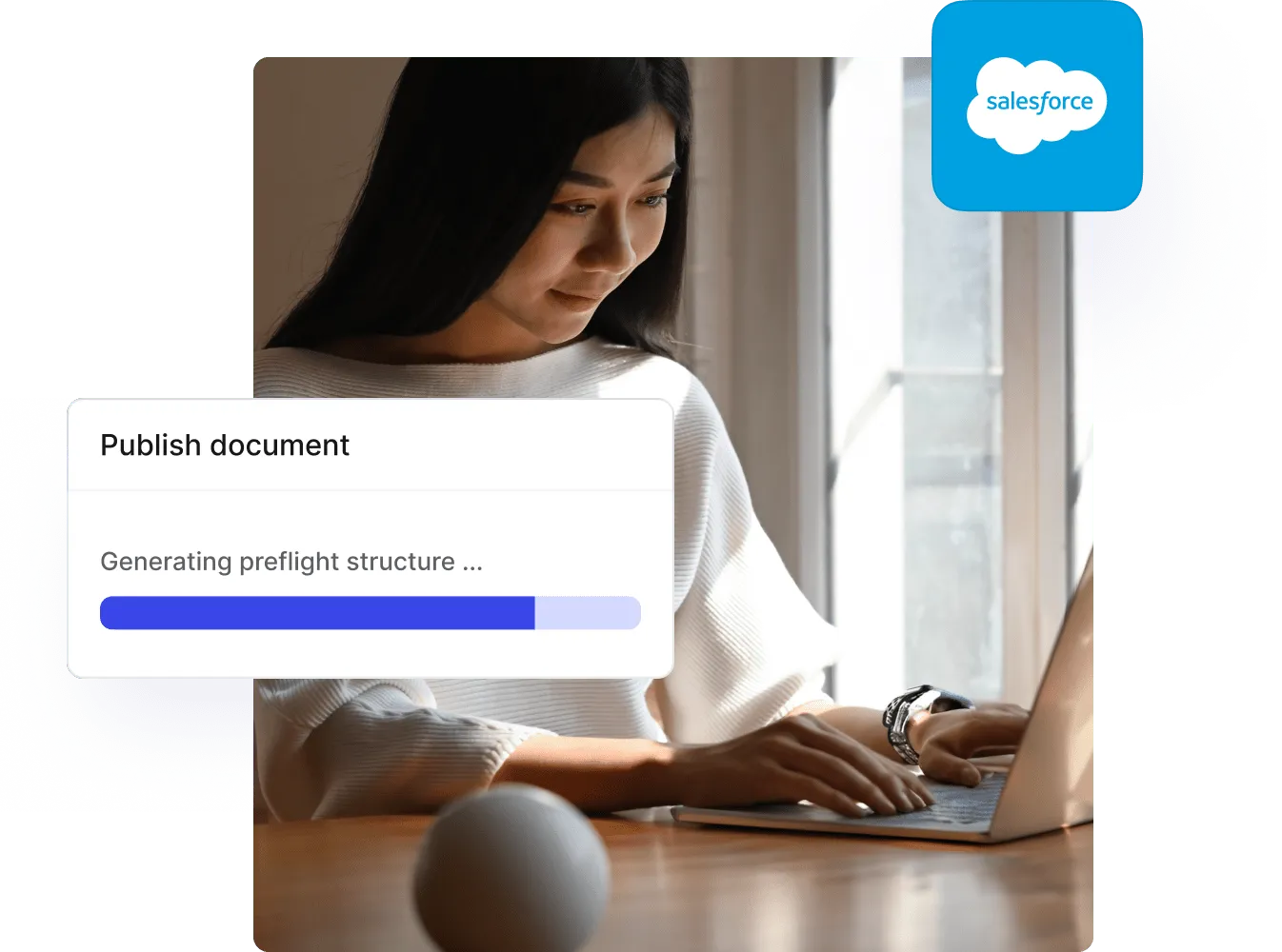 Paligo publish dialog generating a preflight structure, with the Salesforce logo
